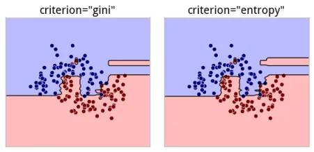 criterion model